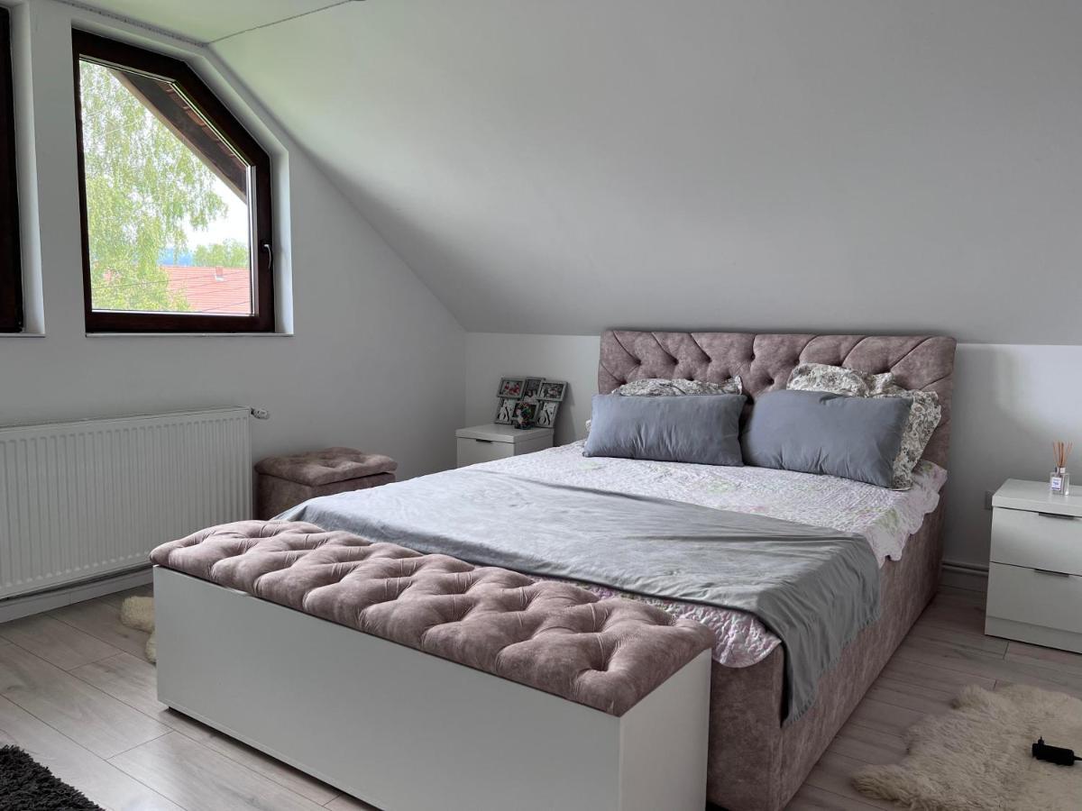 Pensjonat Casa Helen Insurance&Tourism Galócaş Zewnętrze zdjęcie