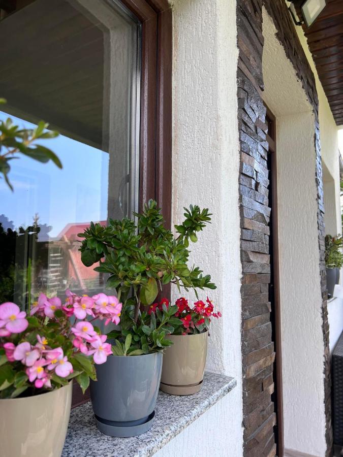 Pensjonat Casa Helen Insurance&Tourism Galócaş Zewnętrze zdjęcie