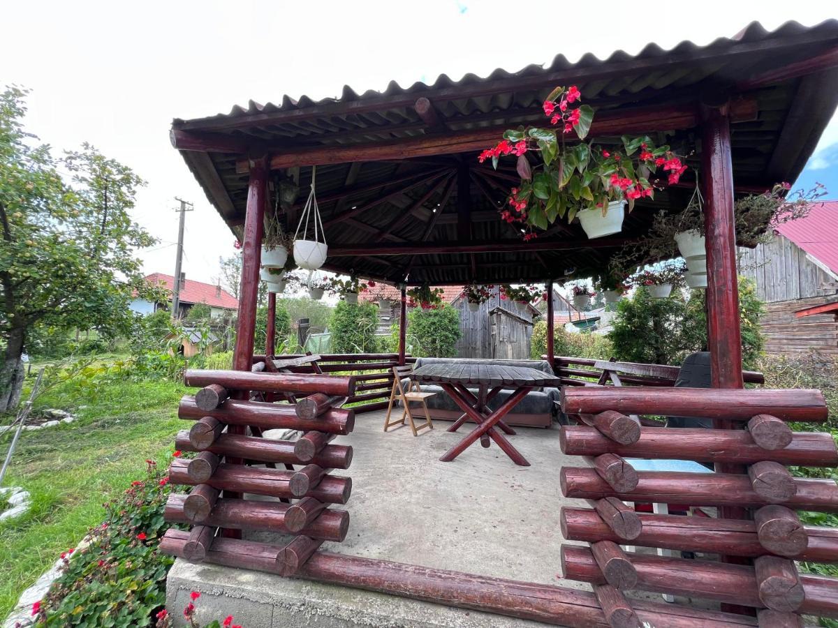 Pensjonat Casa Helen Insurance&Tourism Galócaş Zewnętrze zdjęcie