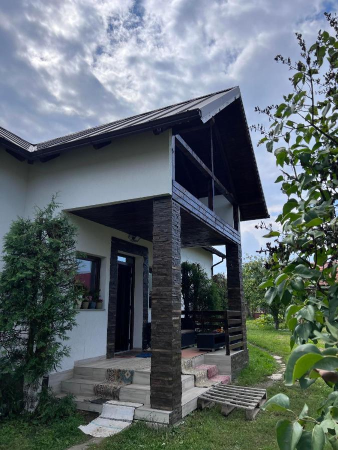 Pensjonat Casa Helen Insurance&Tourism Galócaş Zewnętrze zdjęcie