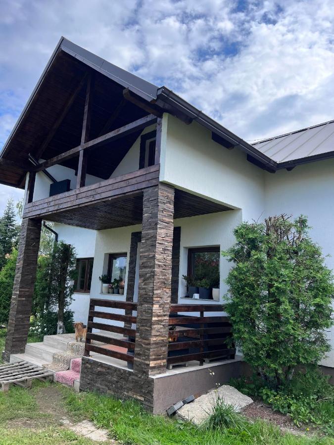 Pensjonat Casa Helen Insurance&Tourism Galócaş Zewnętrze zdjęcie