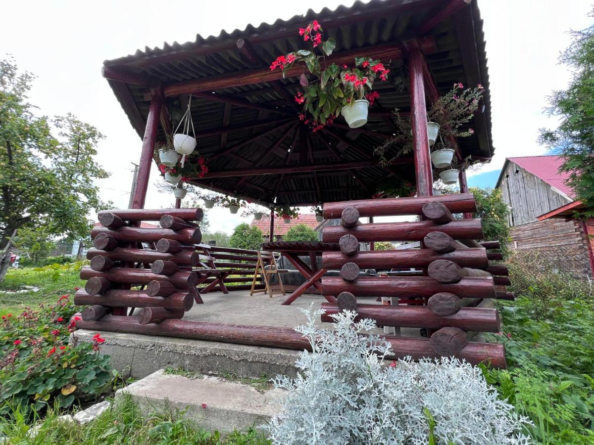 Pensjonat Casa Helen Insurance&Tourism Galócaş Zewnętrze zdjęcie