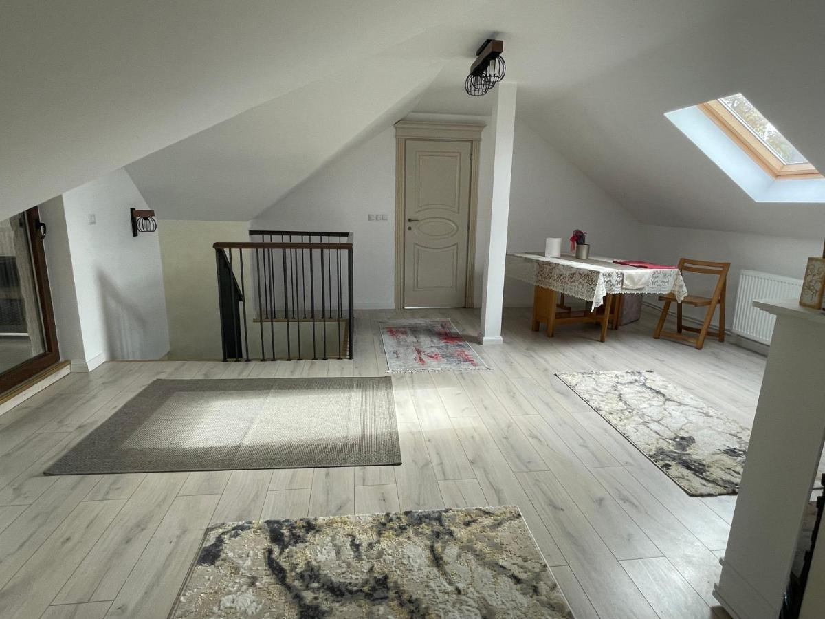 Pensjonat Casa Helen Insurance&Tourism Galócaş Zewnętrze zdjęcie